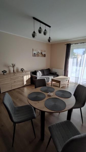 Grand Apartament nad Iławką, Gmina Iława